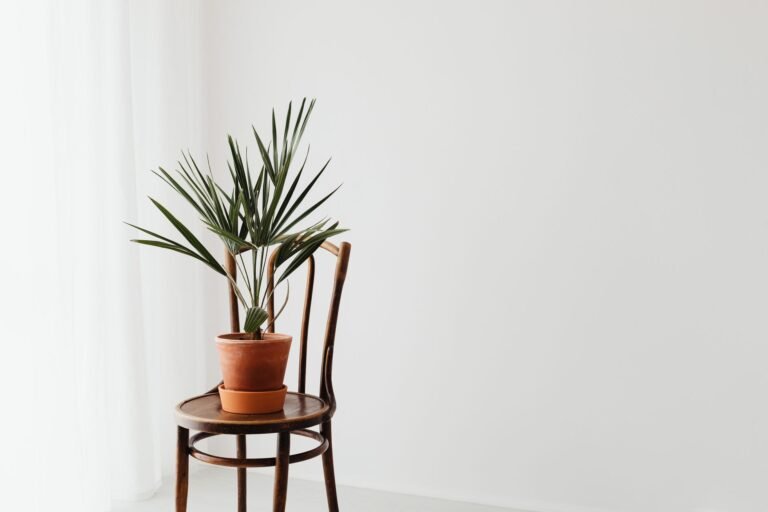 51 minimalist living tips that lead to a simple life
