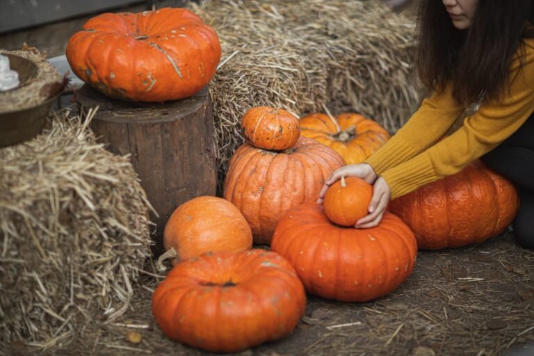 Pumpkin Patch Pilgrimage: 7 Must-Do Photos for Instagram - familyflourish